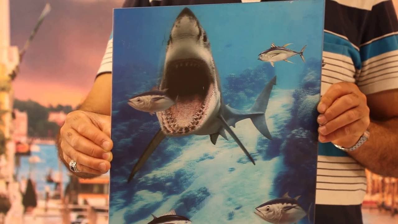 Zemin uygulaması örnek - 3D