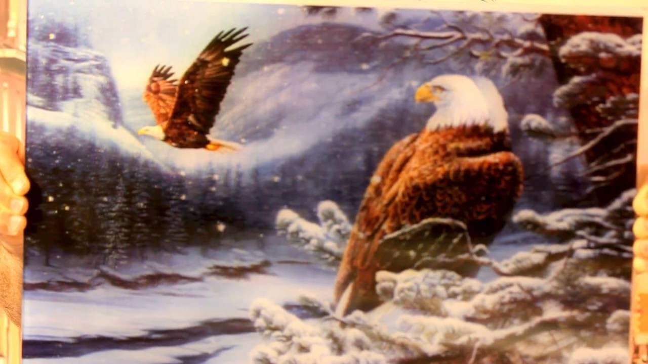 Lenticular Tablo - 3D