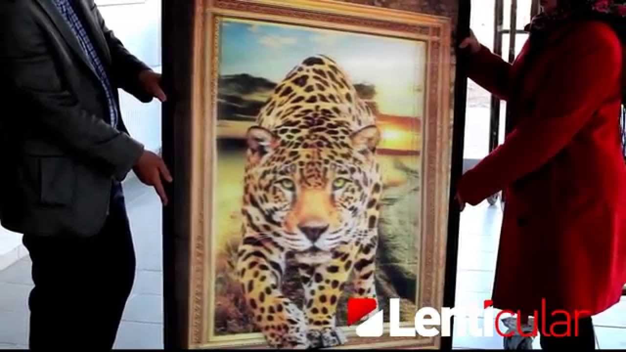 3D Lenticular - 3D