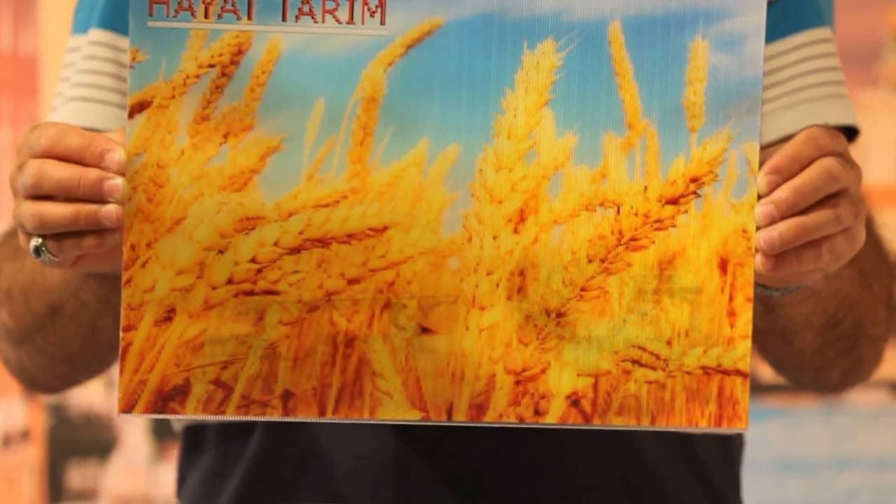 Lenticular Promosyon - Flip